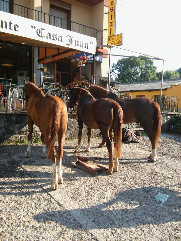 Casa Juan Maison d'hôtes Castejón de Sos